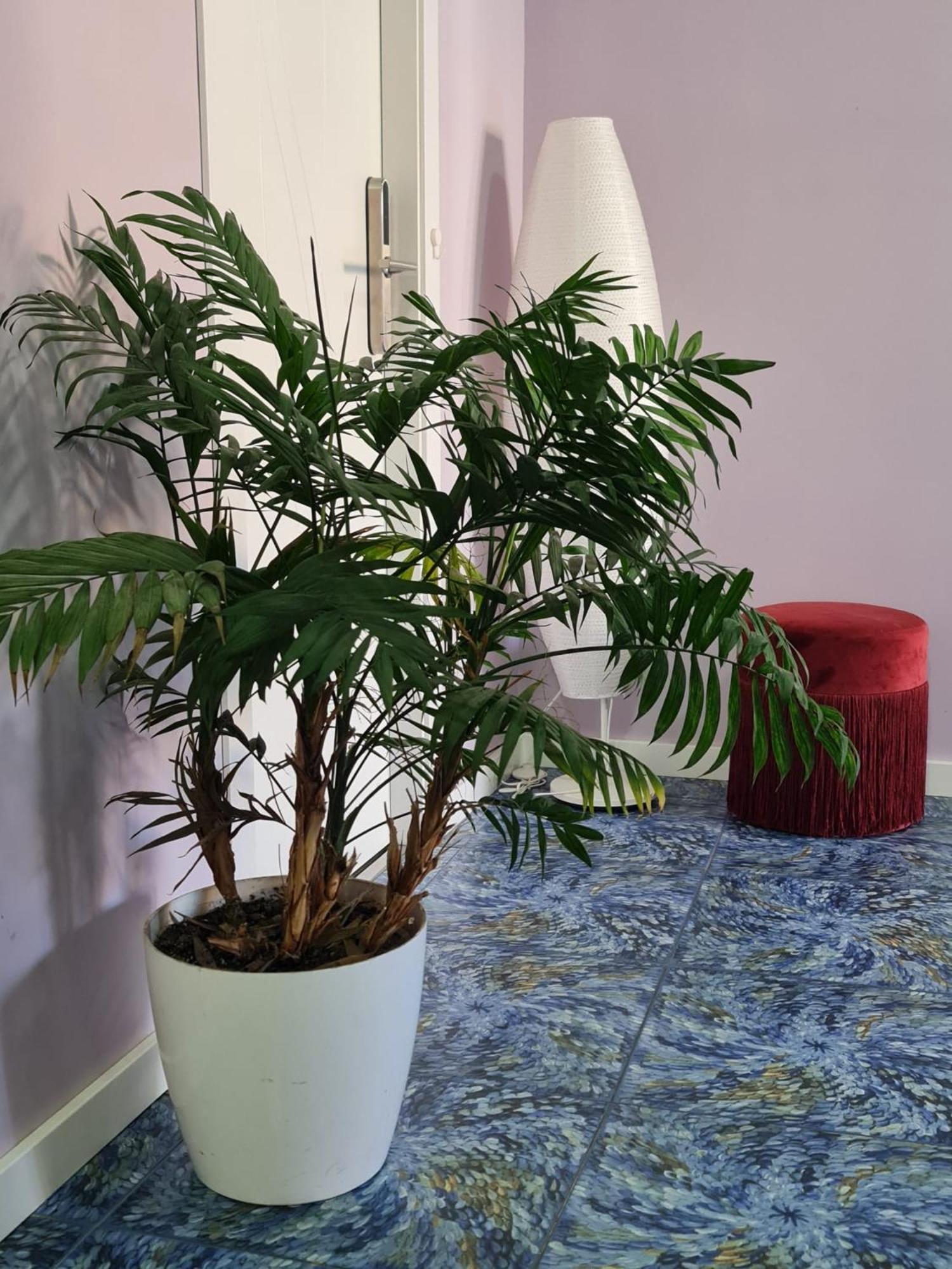 Huelva Art Hotel Kültér fotó